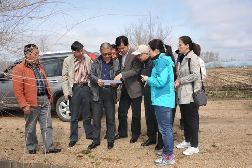 我校赴852农场望奎县落实2013年新农村发展研究院综合基地试验示范