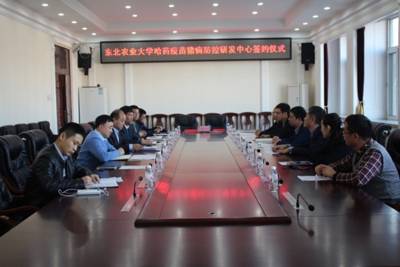 会议现场